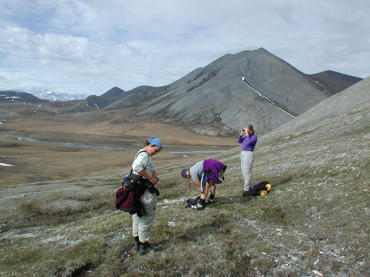 Day 6 (Layover Day) - Scramble Up a Nearby Peak