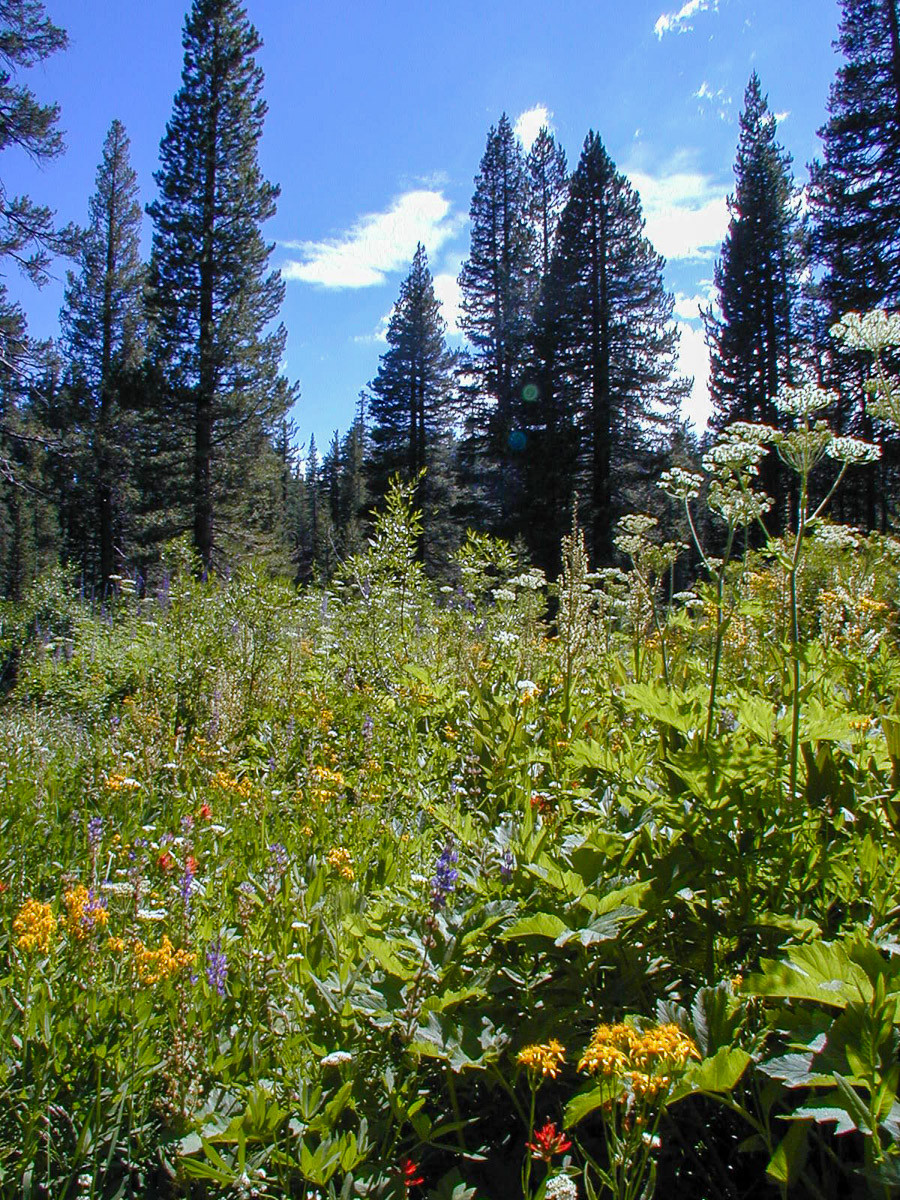 John Muir Trail Hike
