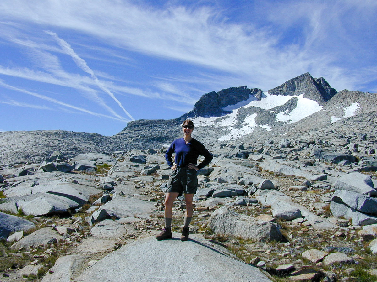 Muir Gallery 6: Donohue Pass and Lyell Canyon