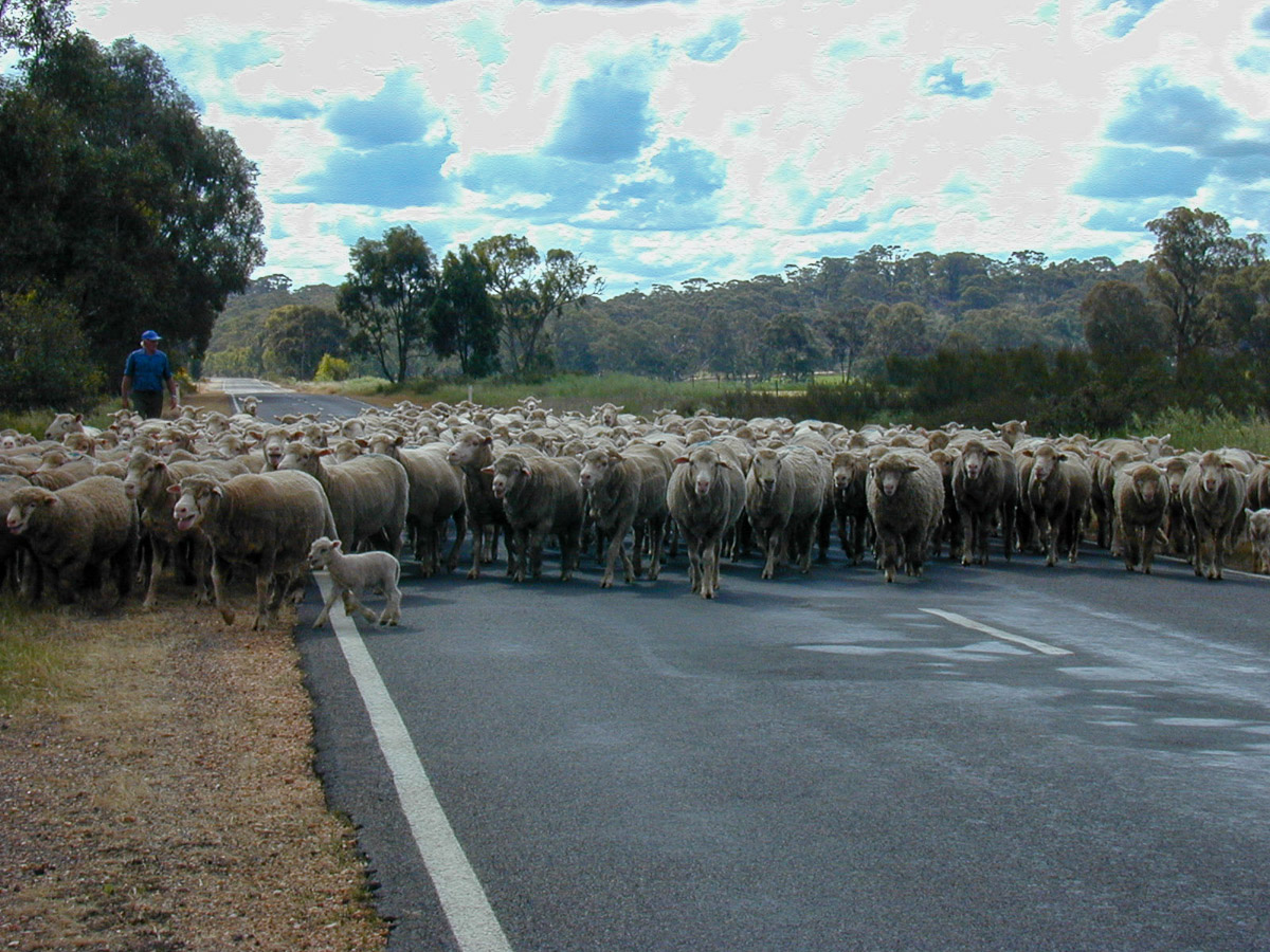 Australia Gallery 6: Mt. Arapiles Climbing