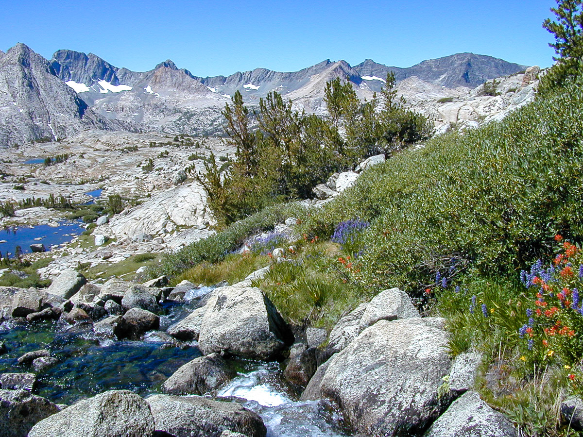 Photo 28
